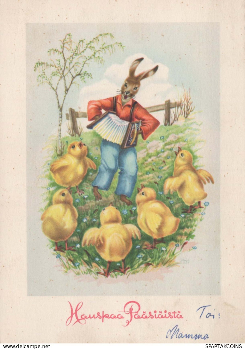 PASQUA CONIGLIO UOVO Vintage Cartolina CPSM #PBO397.IT - Easter