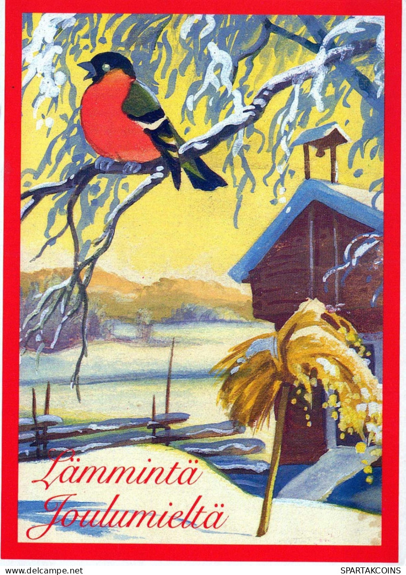 Buon Anno Natale UCCELLO Vintage Cartolina CPSM #PBM767.IT - New Year