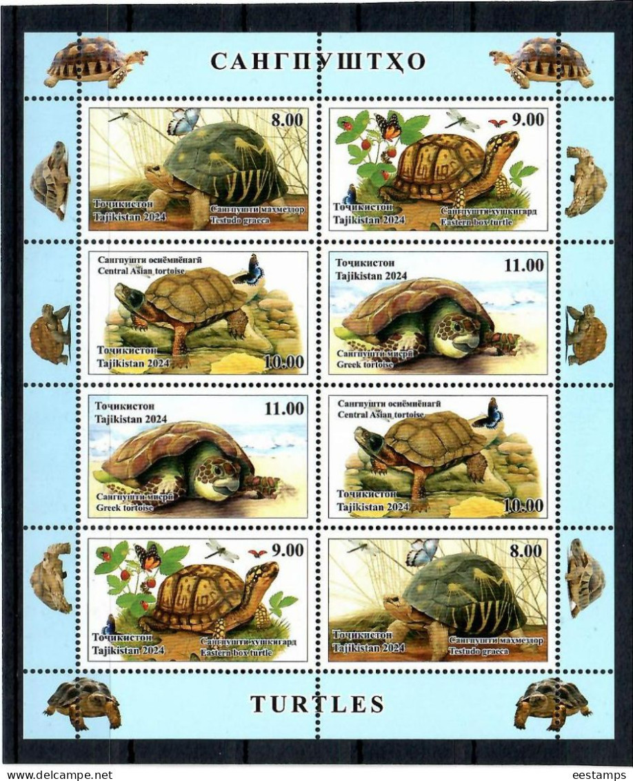 Tajikistan 2024 . Turtles ( Insects,  Butterflies ). M/S Of 8 - Tadschikistan