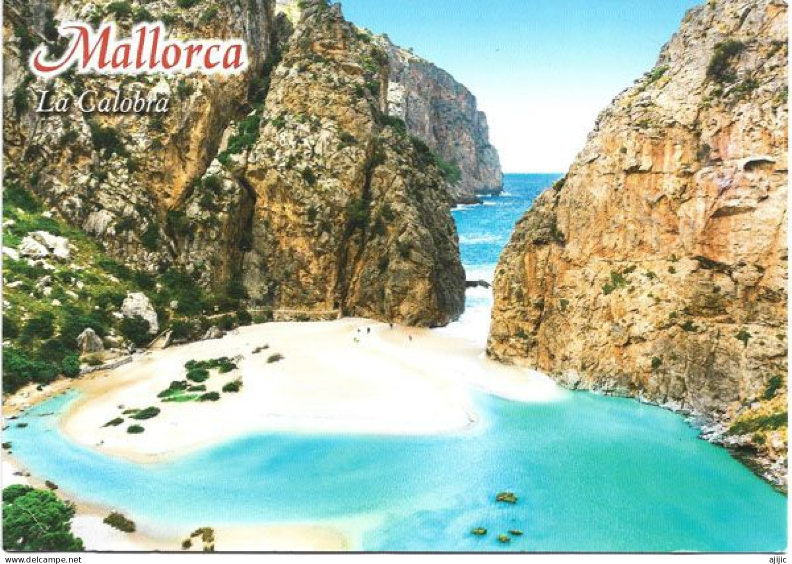 2024. Sello Turismo Gastronomico "Festa Do Pulpo" (Postcard From Torrent De Pareis Mallorca) To Andorra With Postmark - Lettres & Documents