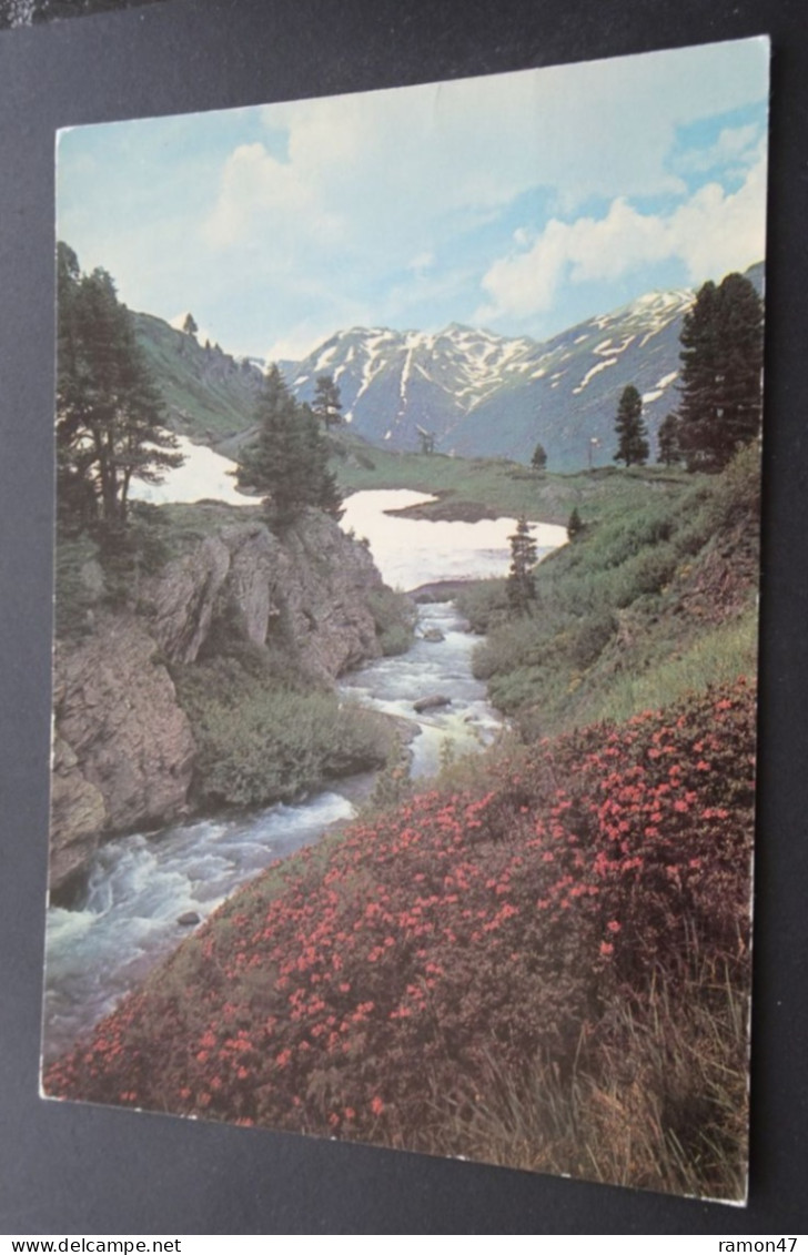 Printemps Dans Le Briançonnais - Editions F. Francou, Briançon - Briancon