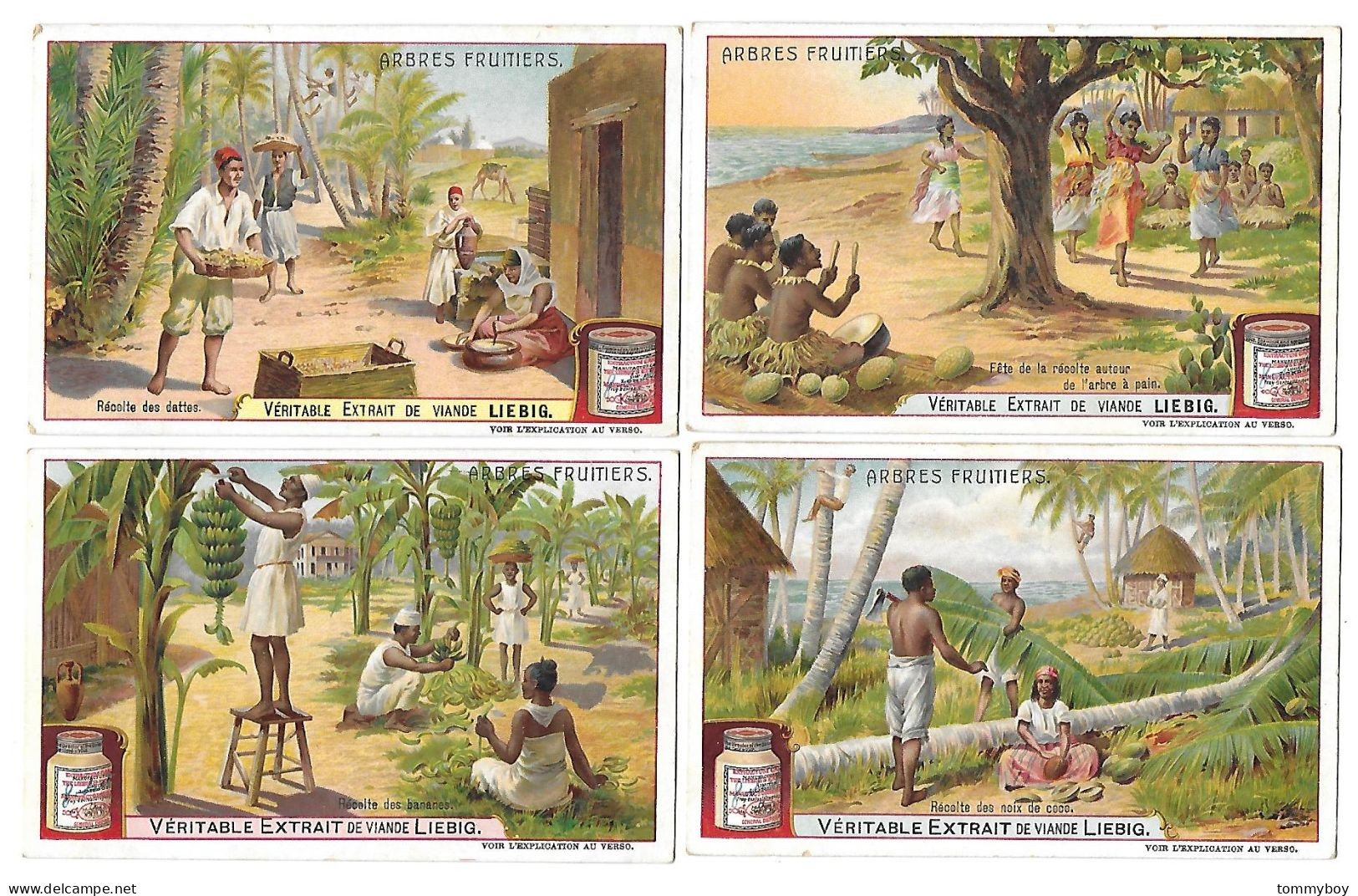 S 878, Liebig 6 Cards, Arbres Fruitiers (ref B23) - Liebig