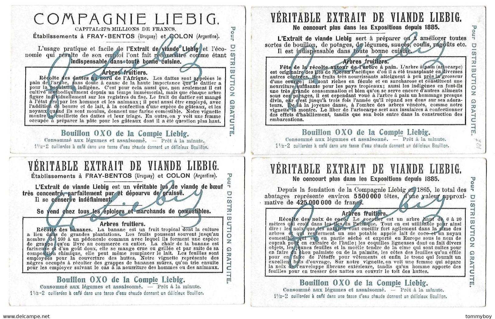 S 878, Liebig 6 Cards, Arbres Fruitiers (ref B23) - Liebig