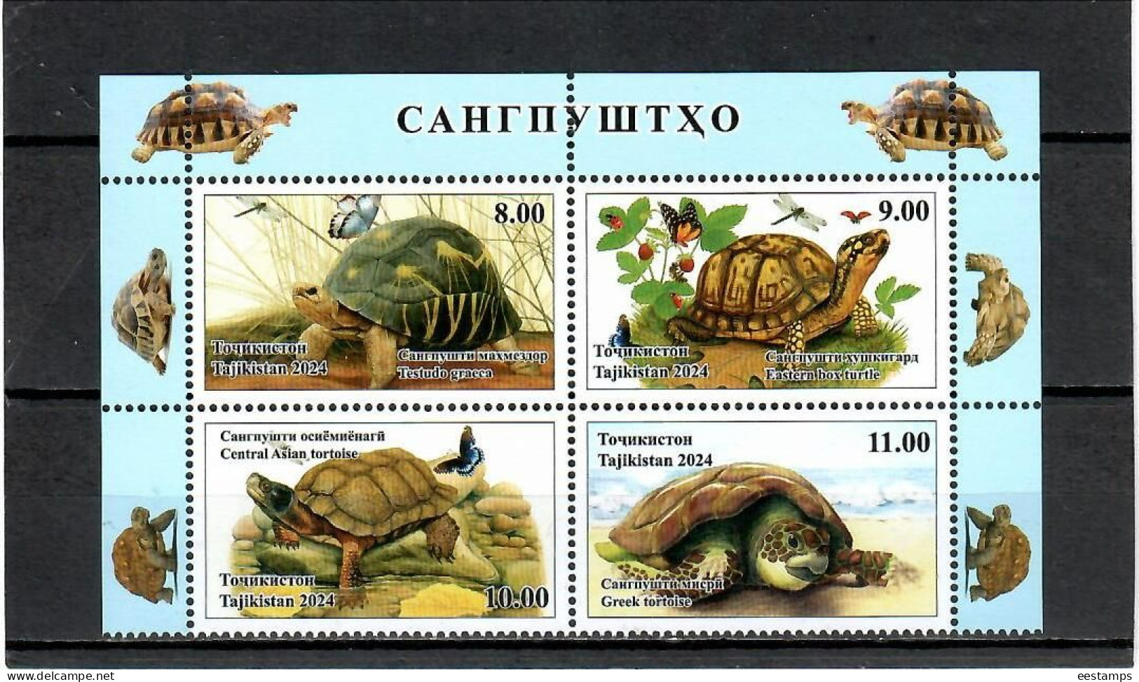 Tajikistan 2024 . Turtles ( Insects,  Butterflies ). 4v. - Tadschikistan