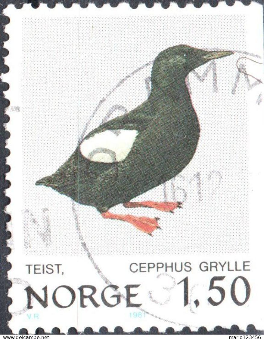 NORVEGIA, NORWAY, FAUNA, UCCELLI, BIRDS, 1981, USATI Scott:NO 777, Yt:NO 786, Sg:NO 872 - Gebraucht