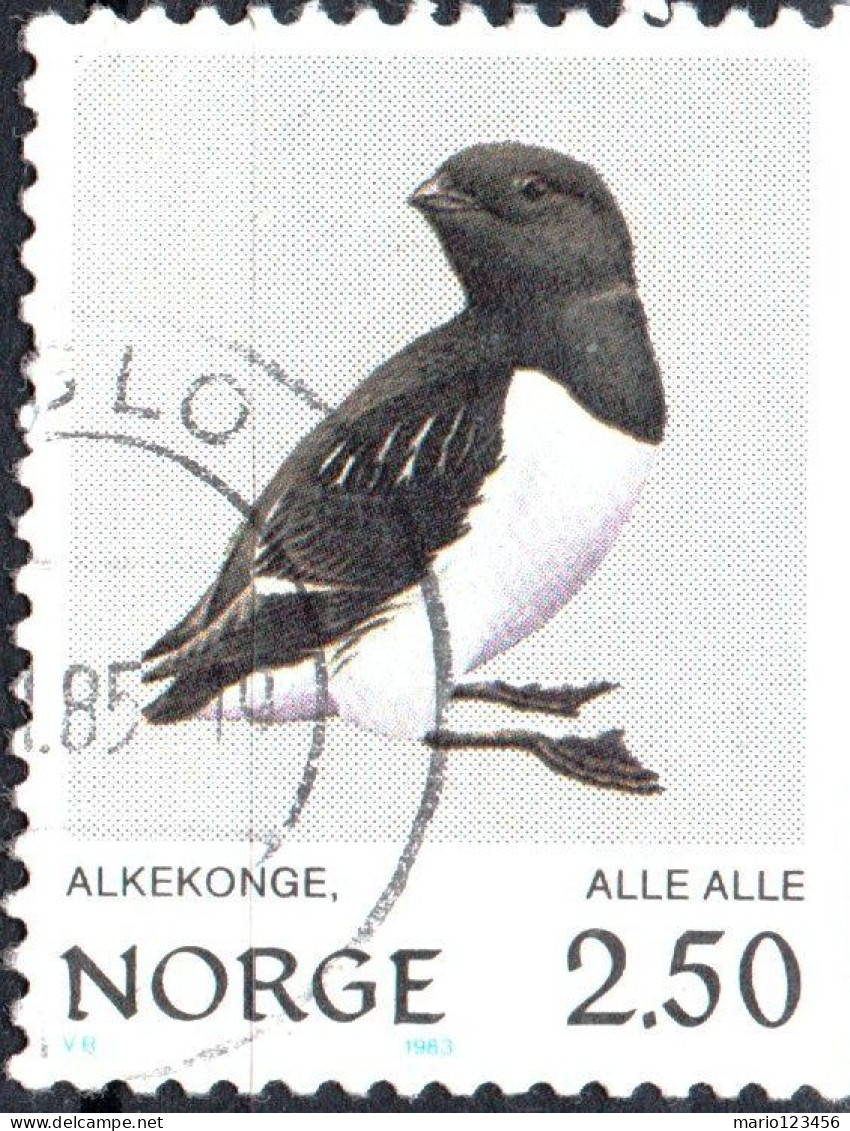 NORVEGIA, NORWAY, FAUNA, UCCELLI, BIRDS, 1983, USATI Scott:NO 822, Yt:NO 840, Sg:NO 915 - Oblitérés