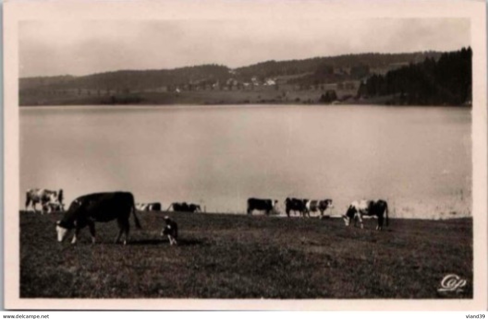 LAC De ST POINT. -  Dans Le Fond Les Grangettes. .   Non Circulée.   Photo Véritable. - Mouthe