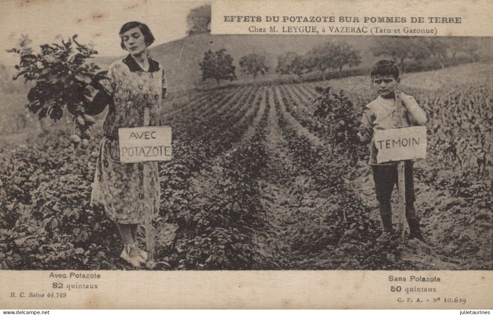 VAZERAC TARN ET GARONNE EFETS DU POTAZOTE SUR POMMES DE TERRE CPA BON ETAT - Reclame