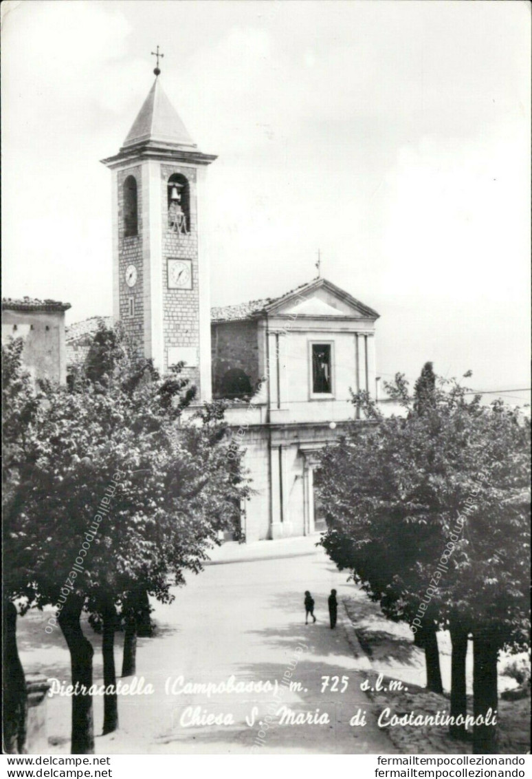 Ai110 Cartolina Pietracatella Chiesa S.maria Di Costantinopoli Campobasso - Campobasso