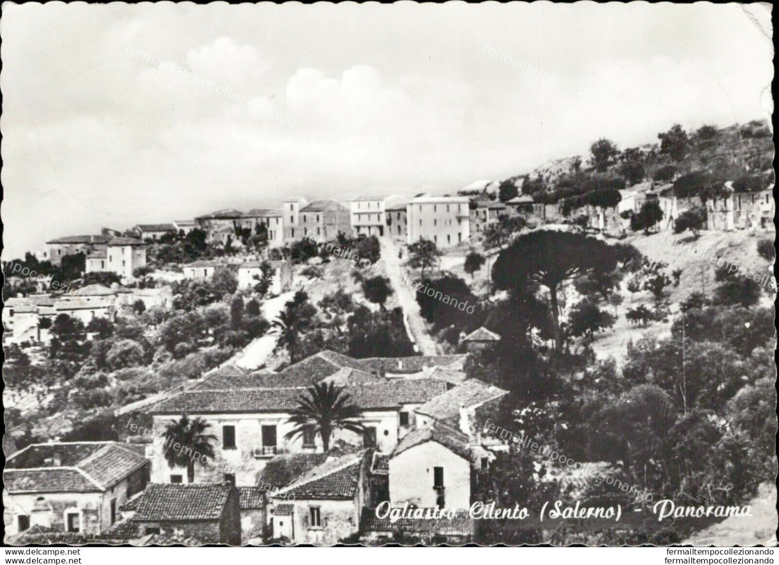 Ai126 Cartolina Ogliastro Cilento Panorama Provincia Di Salerno - Salerno