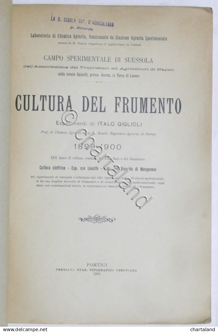 Annali Regia Scuola Di Agricoltura In Portici - Cultura Del Frumento - 1900 - Altri & Non Classificati