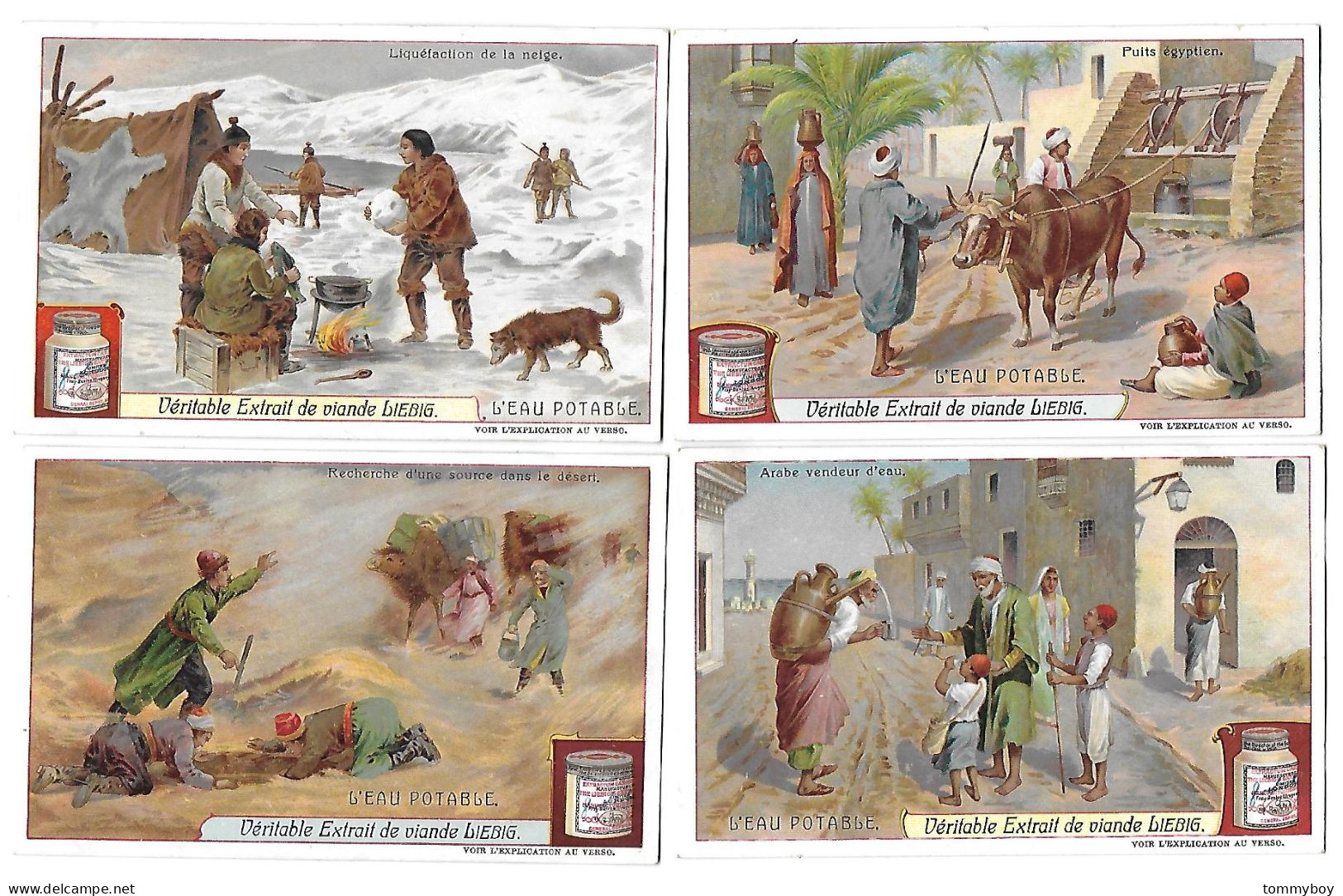 S 876, Liebig 6 Cards, L'eau Potable (ref B23) - Liebig