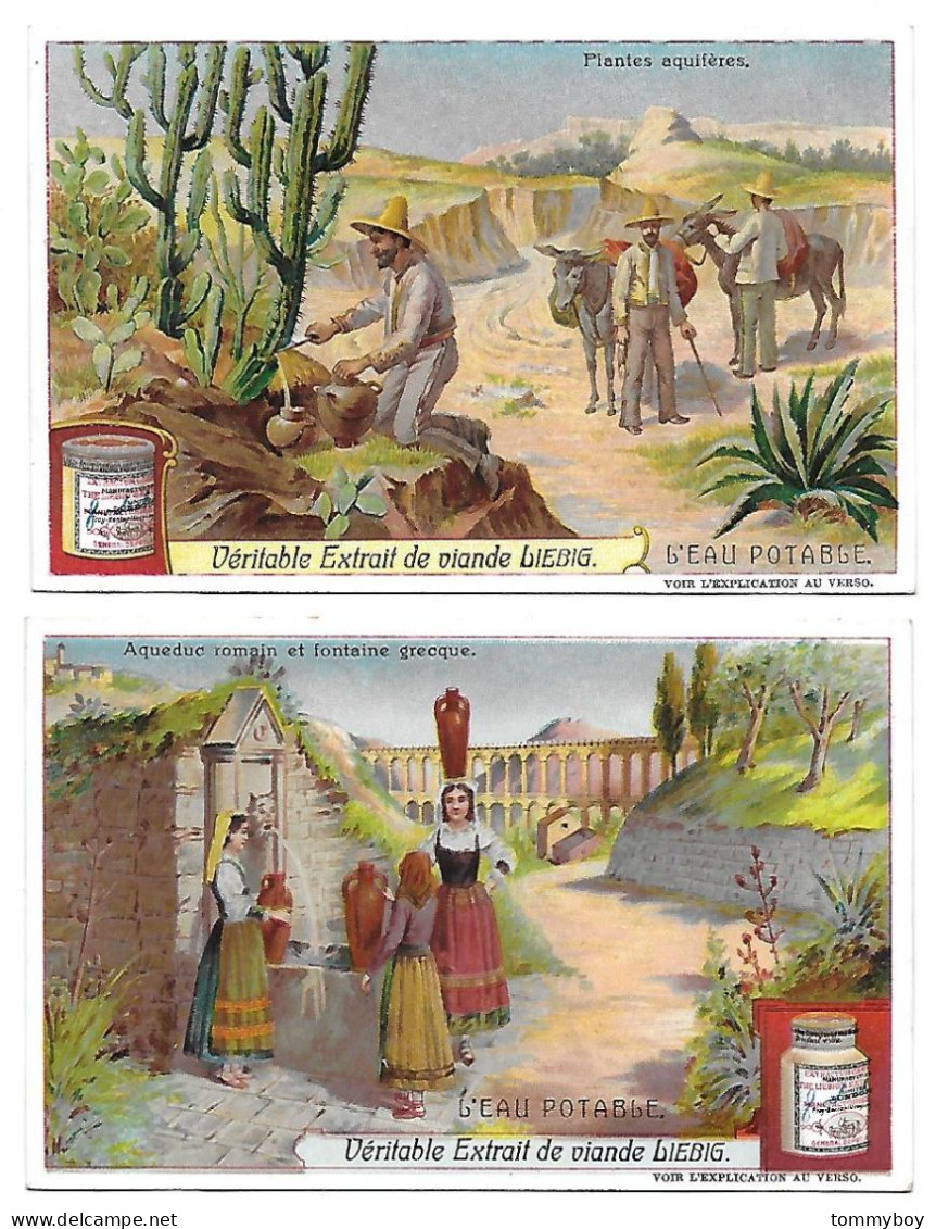 S 876, Liebig 6 Cards, L'eau Potable (ref B23) - Liebig