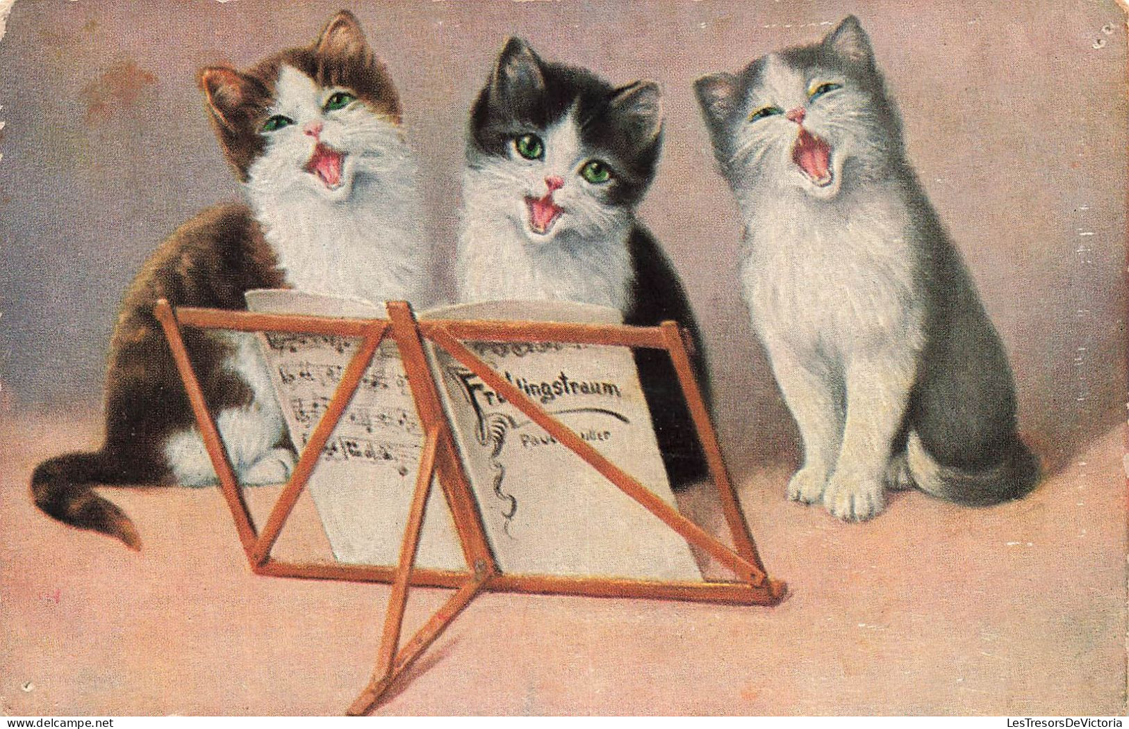 ANIMAUX & FAUNE - Chats - Trois Chatons En Train De Chanter - Carte Postale Ancienne - Chats