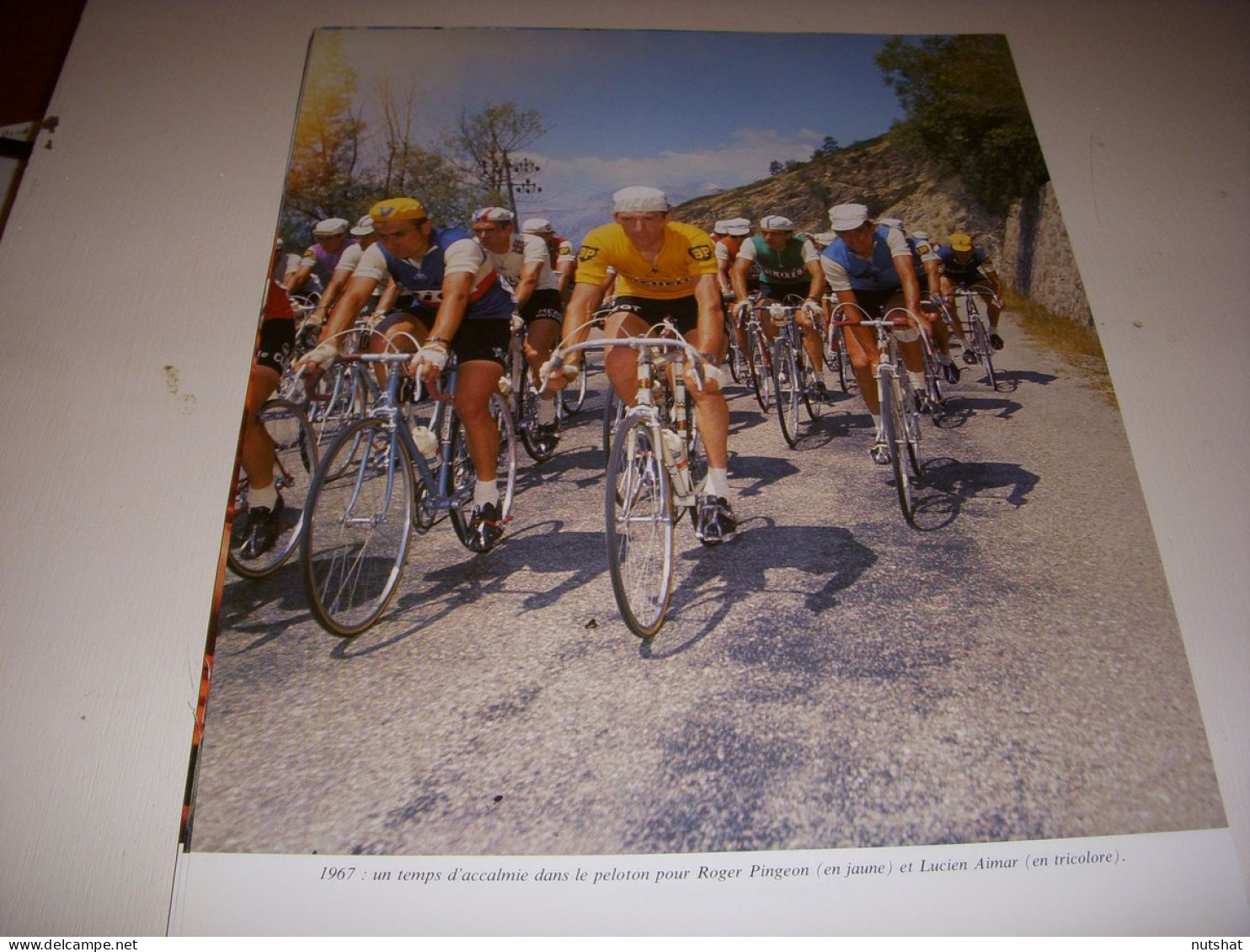 CYCLISME COUPURE LIVRE T560B COULEUR TdF1967 Roger PINGEON En JAUNE Lucien AIMAR - Sport