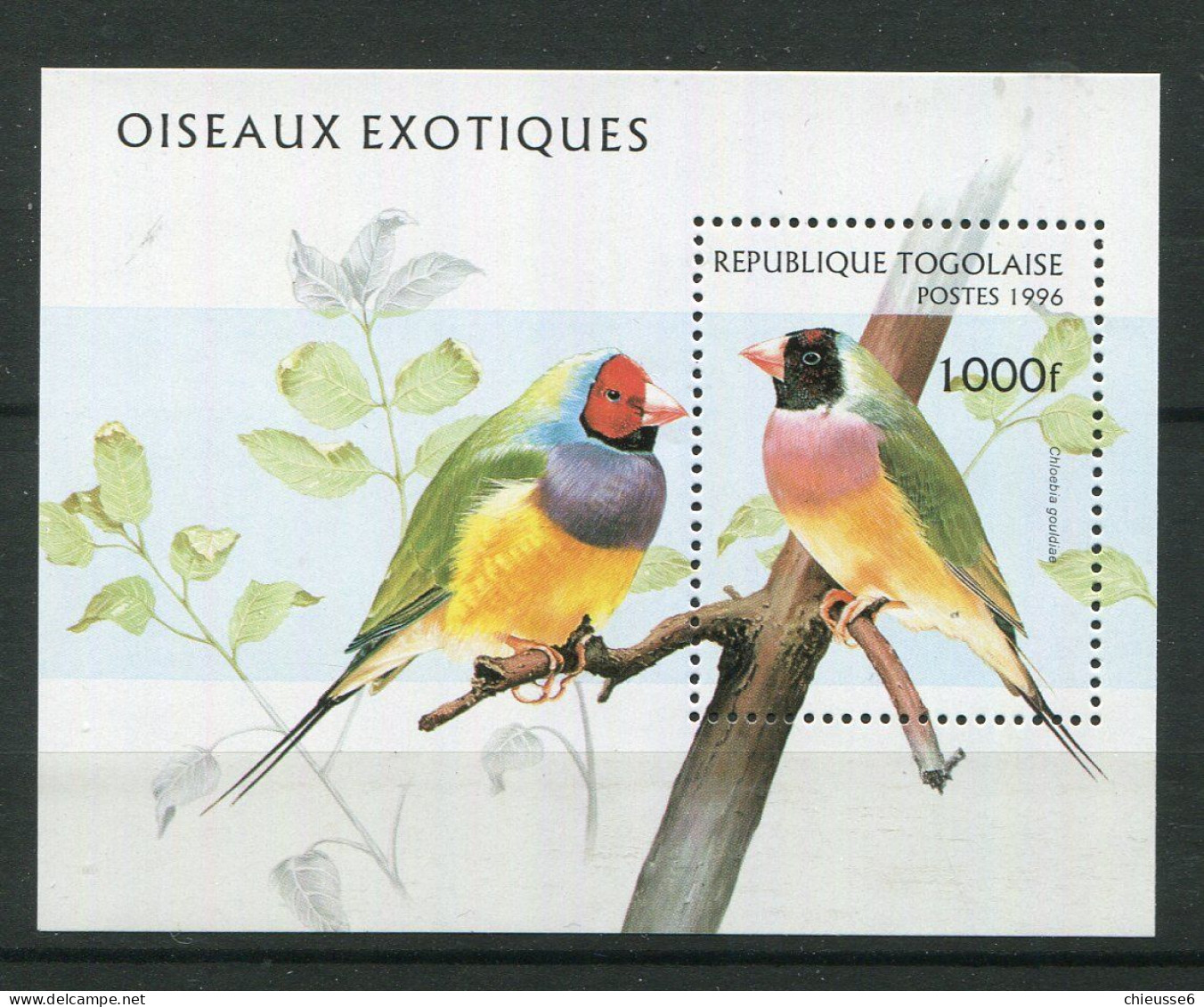 Togo ** Bloc 305 - Oiseaux - Togo (1960-...)