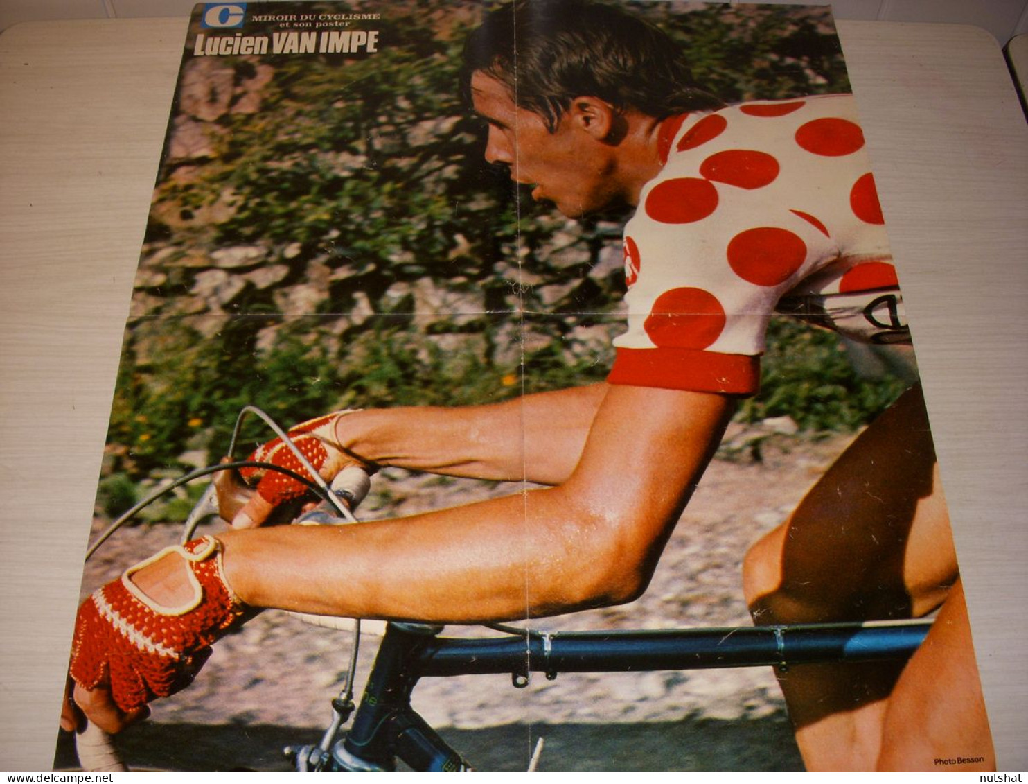 CYCLISME MC207 POSTER VAN IMPE MAILLOT POIS ENCYCLOPEDIE A A Z JOLLY A KAZIANKA - Sport