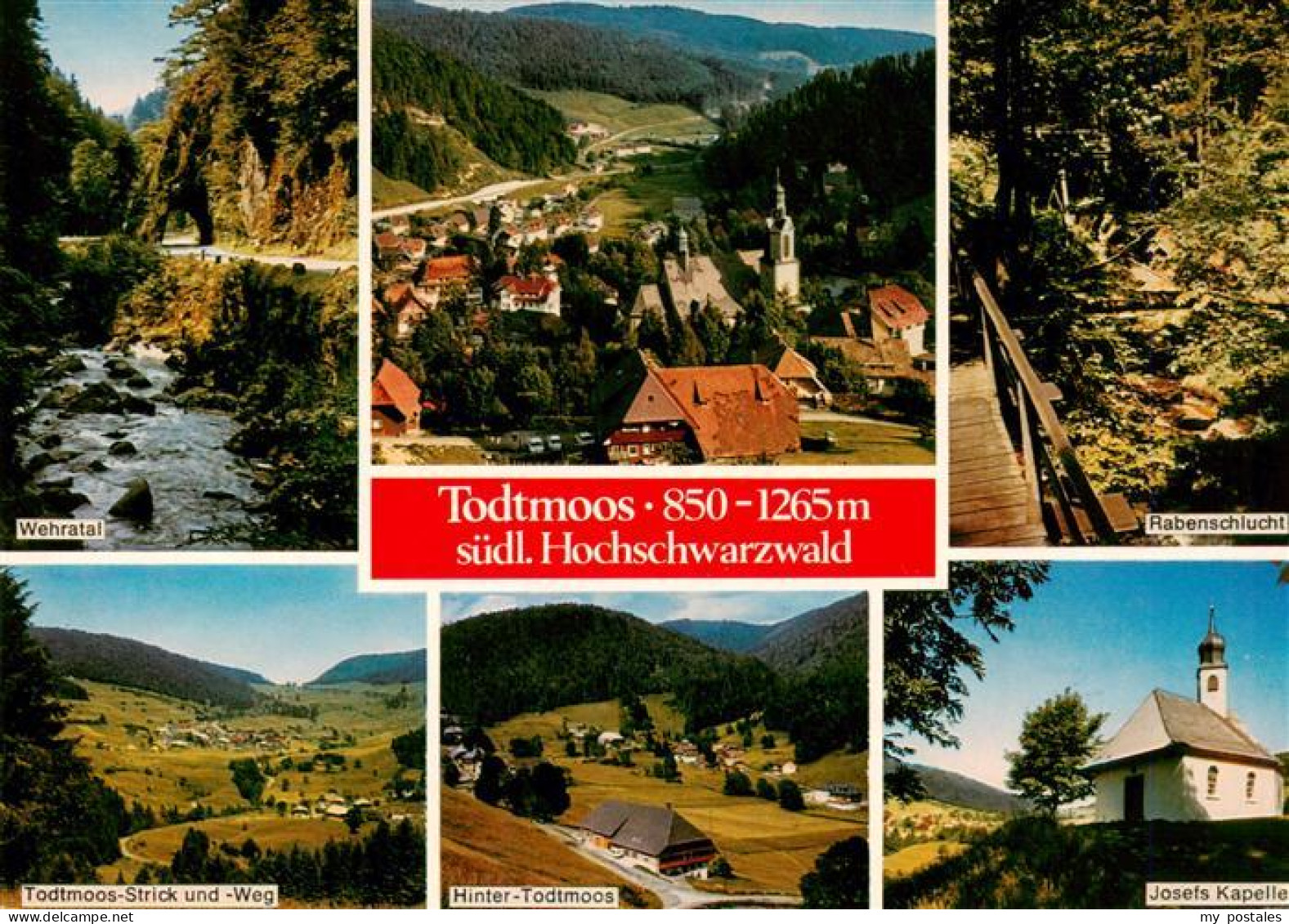73927822 Todtmoos Wehratal Panorama Rabenschlucht Strick Und Weg Hinter Todtmoos - Todtmoos