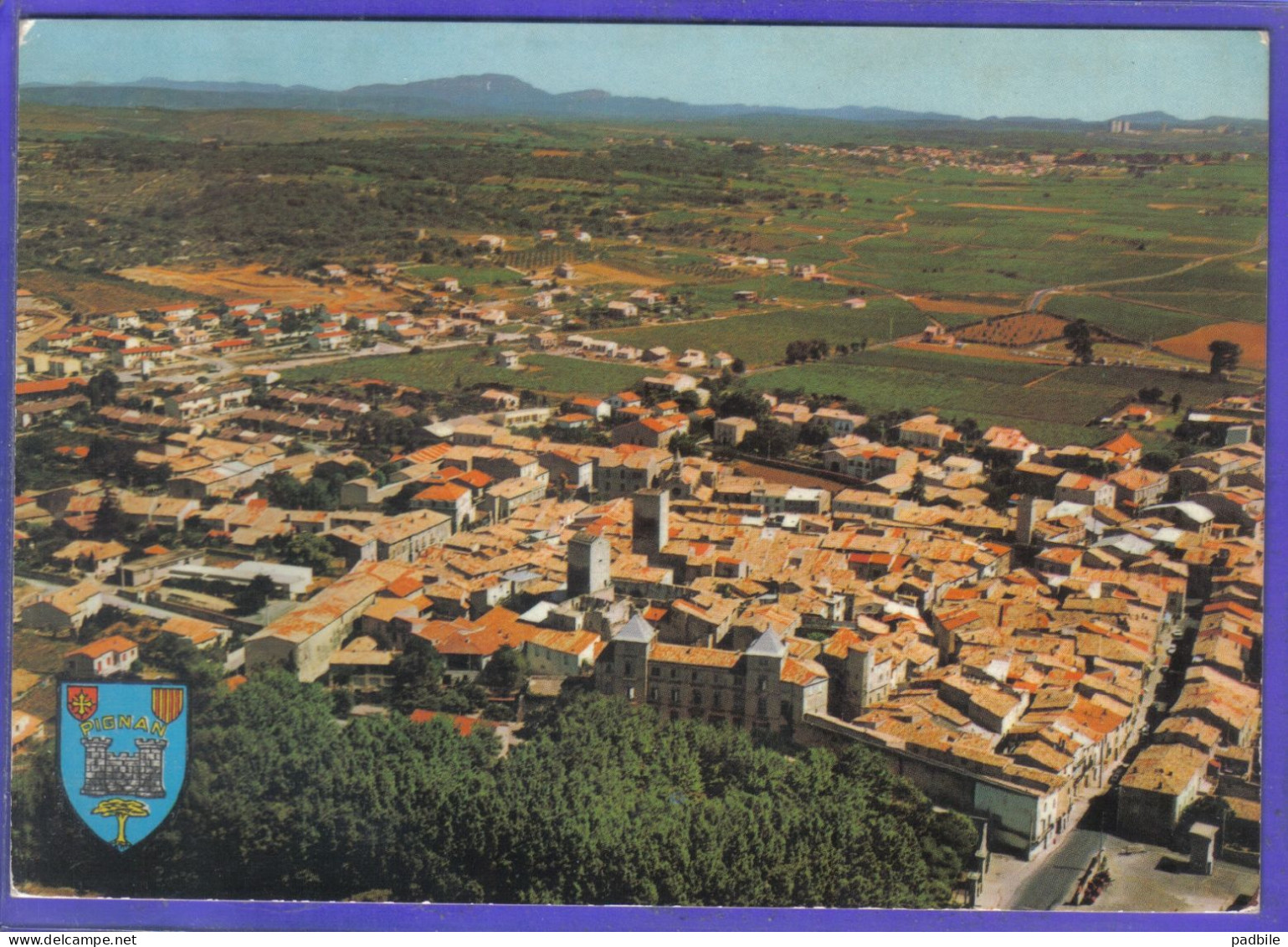 Carte Postale 34. Pignan  Vue Aérienne  Blason  Très Beau Plan - Autres & Non Classés