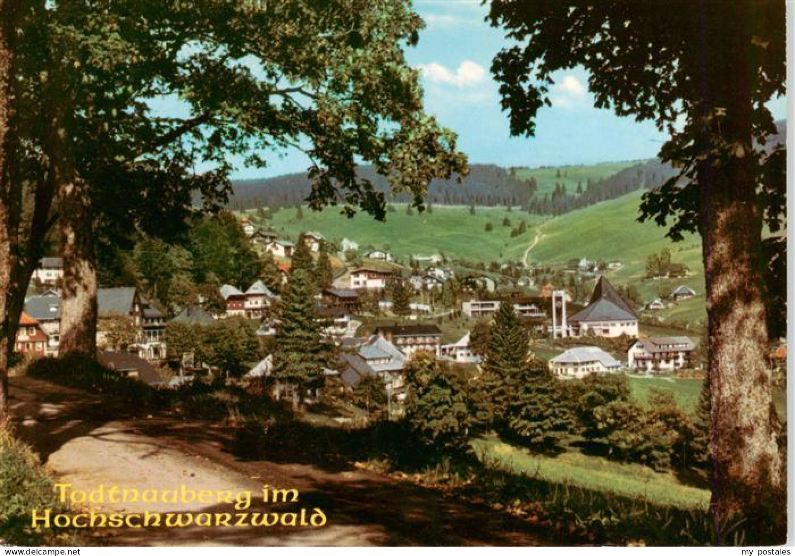 73927801 Todtnauberg Panorama - Todtnau