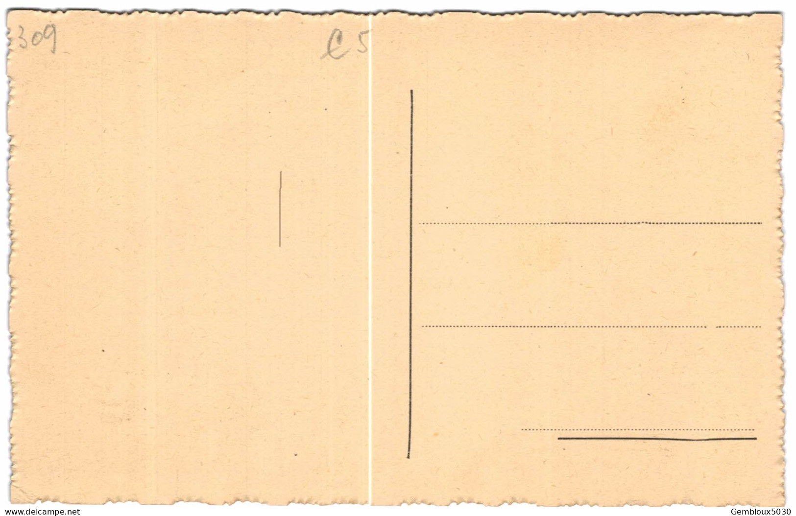 (309)   Lodelinsart  Le Bureau Des Postes - Charleroi