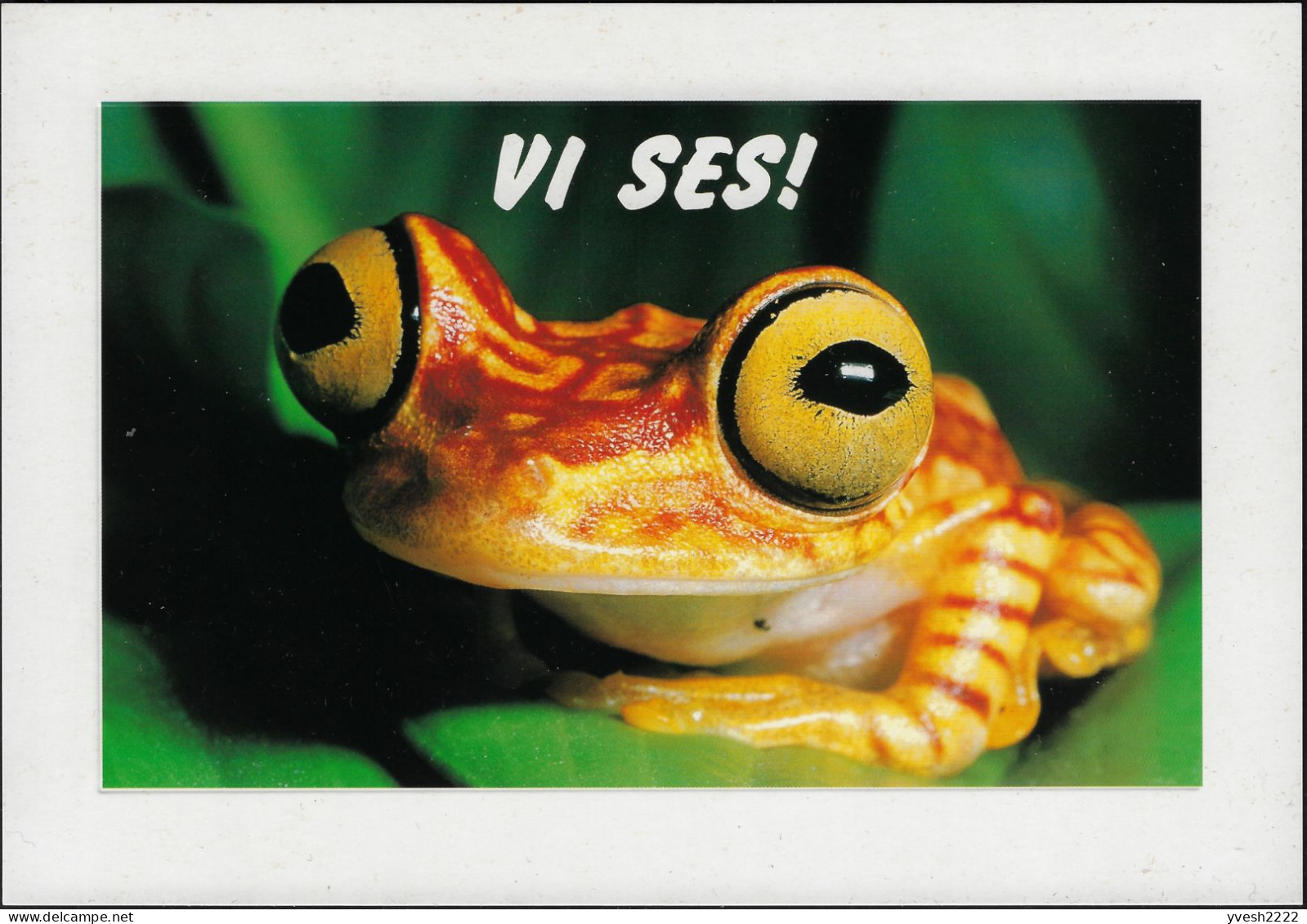 Suède 2001 Entier Postal Illustré Pour L'étranger, Vente Locale. Vi Ses !  À Bientôt. Rainette Jaune Agalychnis Callidry - Frogs