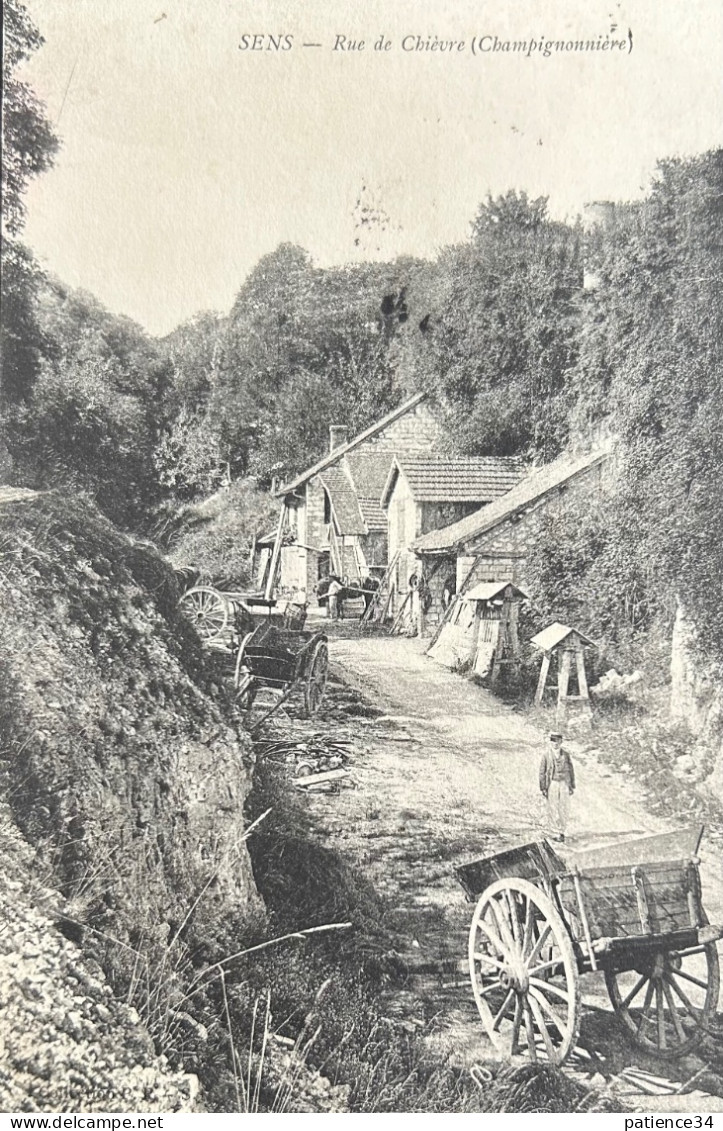 89 - SENS - Rue De Chièvre ( Champignonnière) - Sens