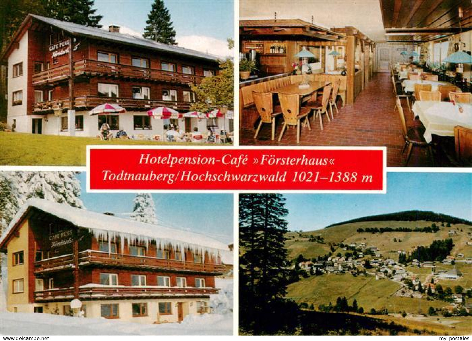 73927769 Todtnauberg Hotel Pension Foersterhaus Gaststube Panorama - Todtnau