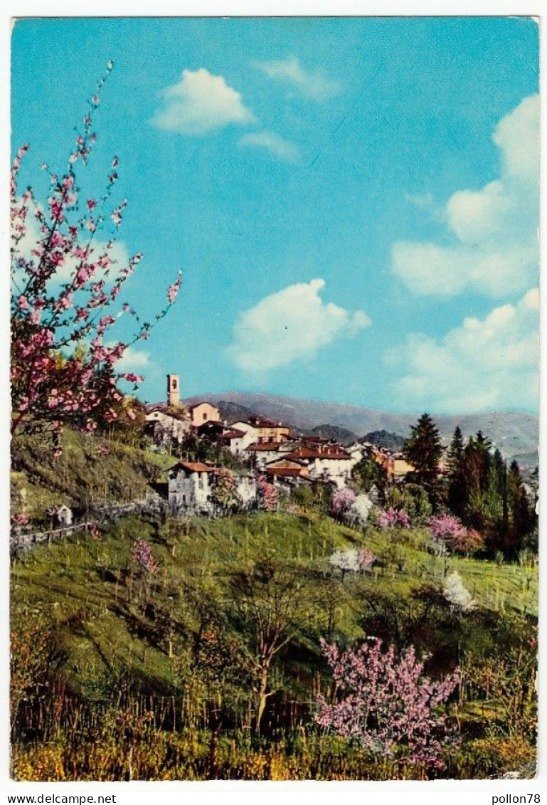 SALUTI DA BOSCO VALTRAVAGLIA - VARESE - 1970 - Varese