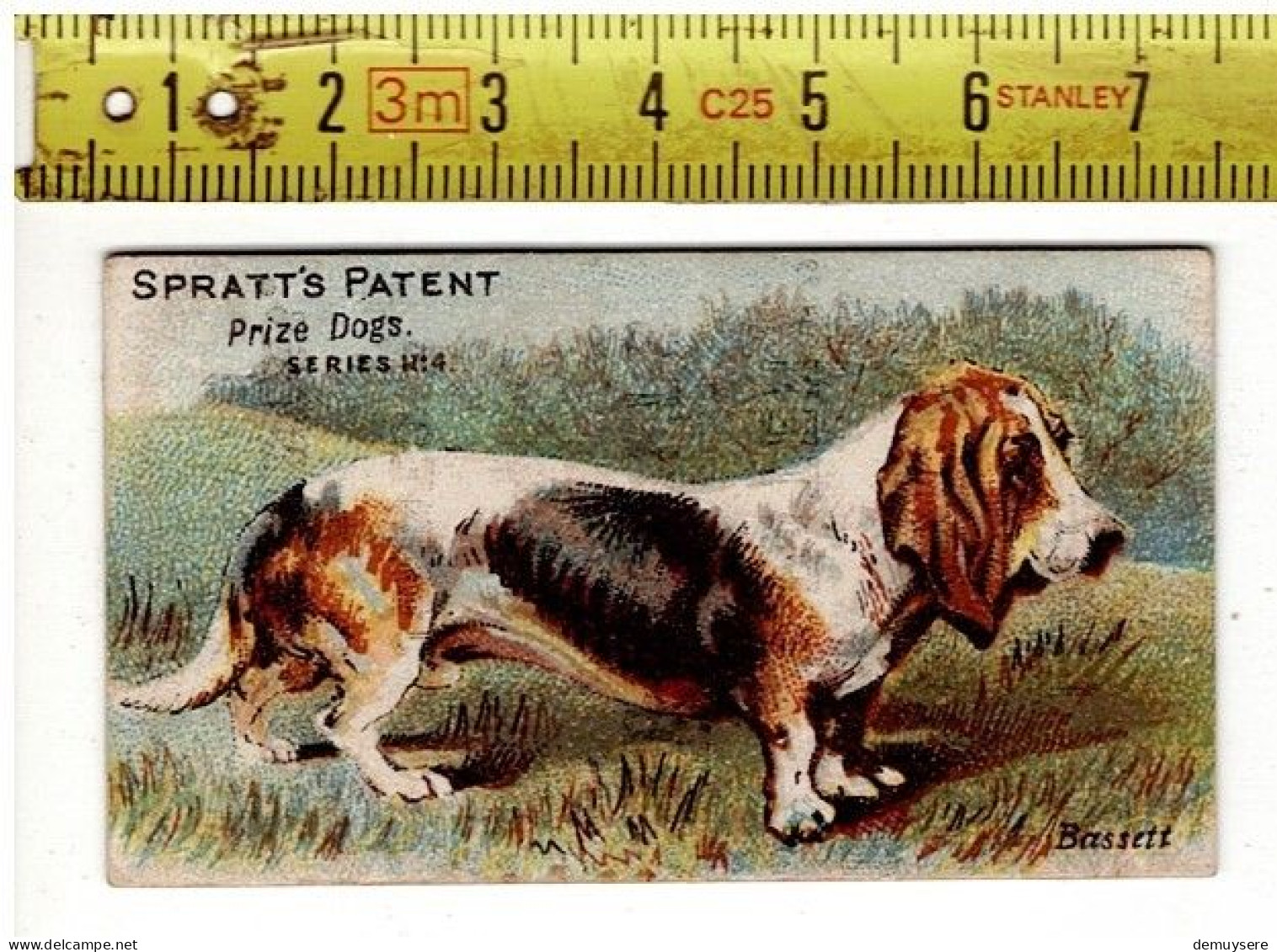 KL 5308 - SPRATT'S PATENT - PRIZE DOGS - SERIES N° 4 - Altri & Non Classificati