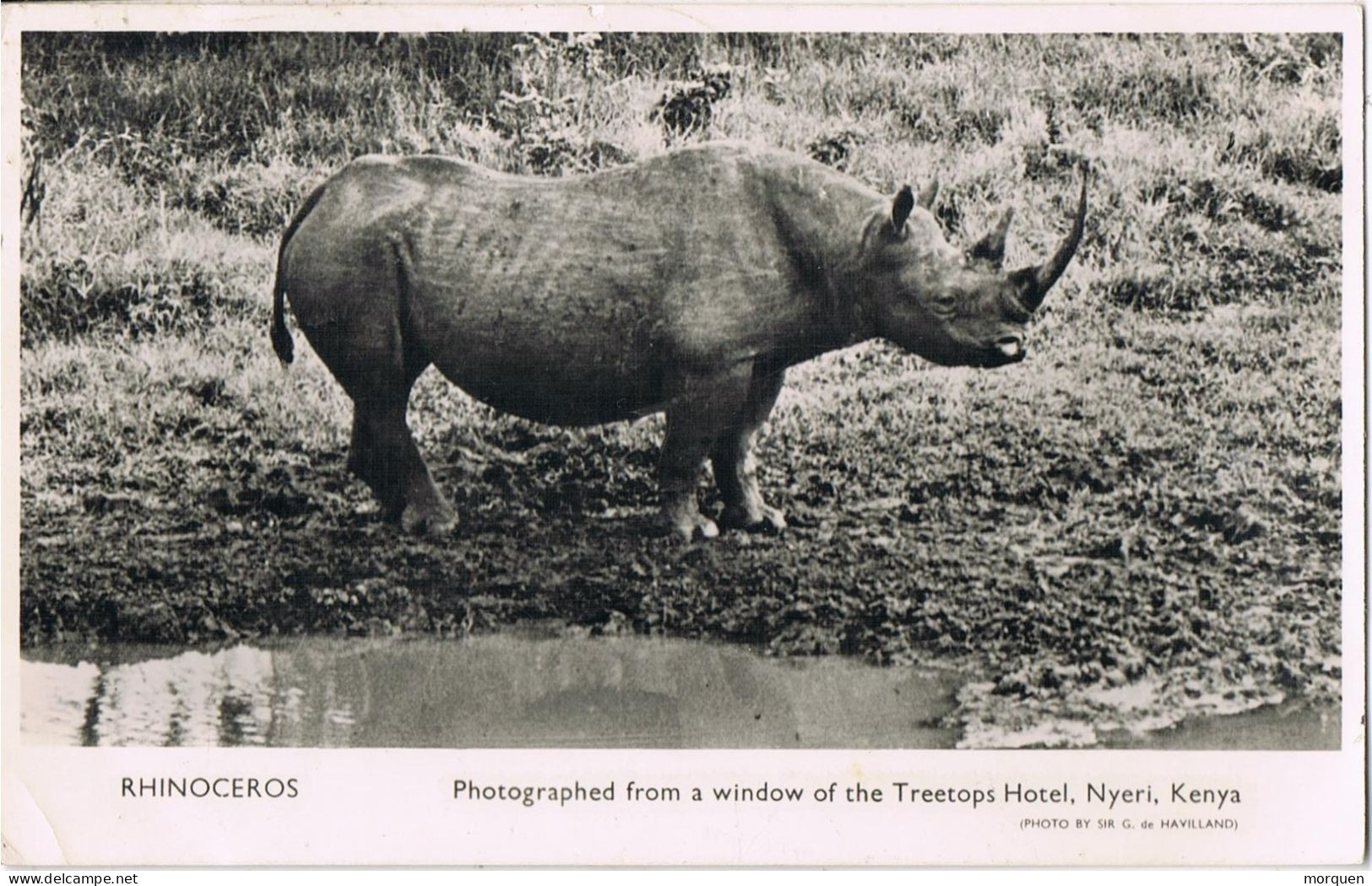 54887. Postal Aerea KHARTOUM (Sudan) 1950. Rinoceronte. Rhinoceros Of Kenia - Soedan (1954-...)