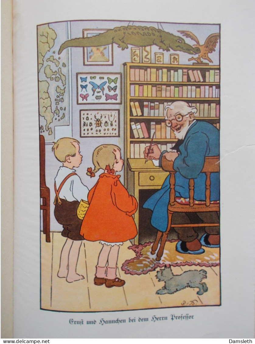 1935 children's book Fritz Baumgarten; Was Mütterchen erzählt / stories told by Mother