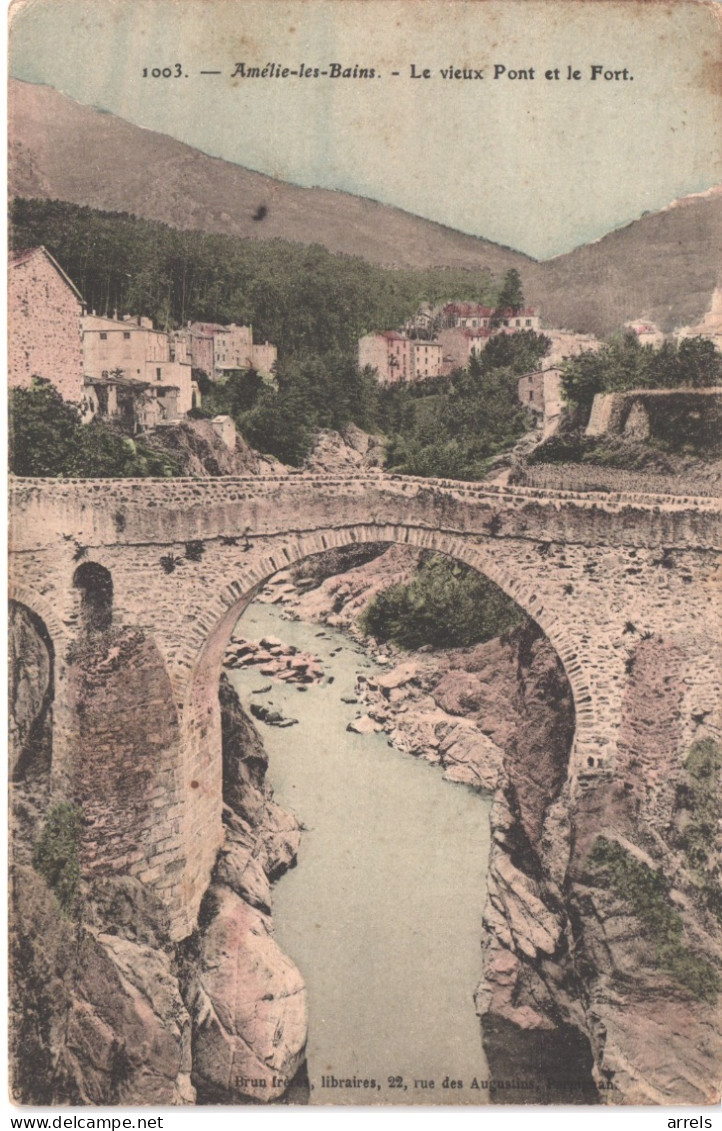 FR66 AMELIE LES BAINS - Brun 1003 Colorisée - Le Vieux Pont Et Le Fort - état - Amélie-les-Bains-Palalda