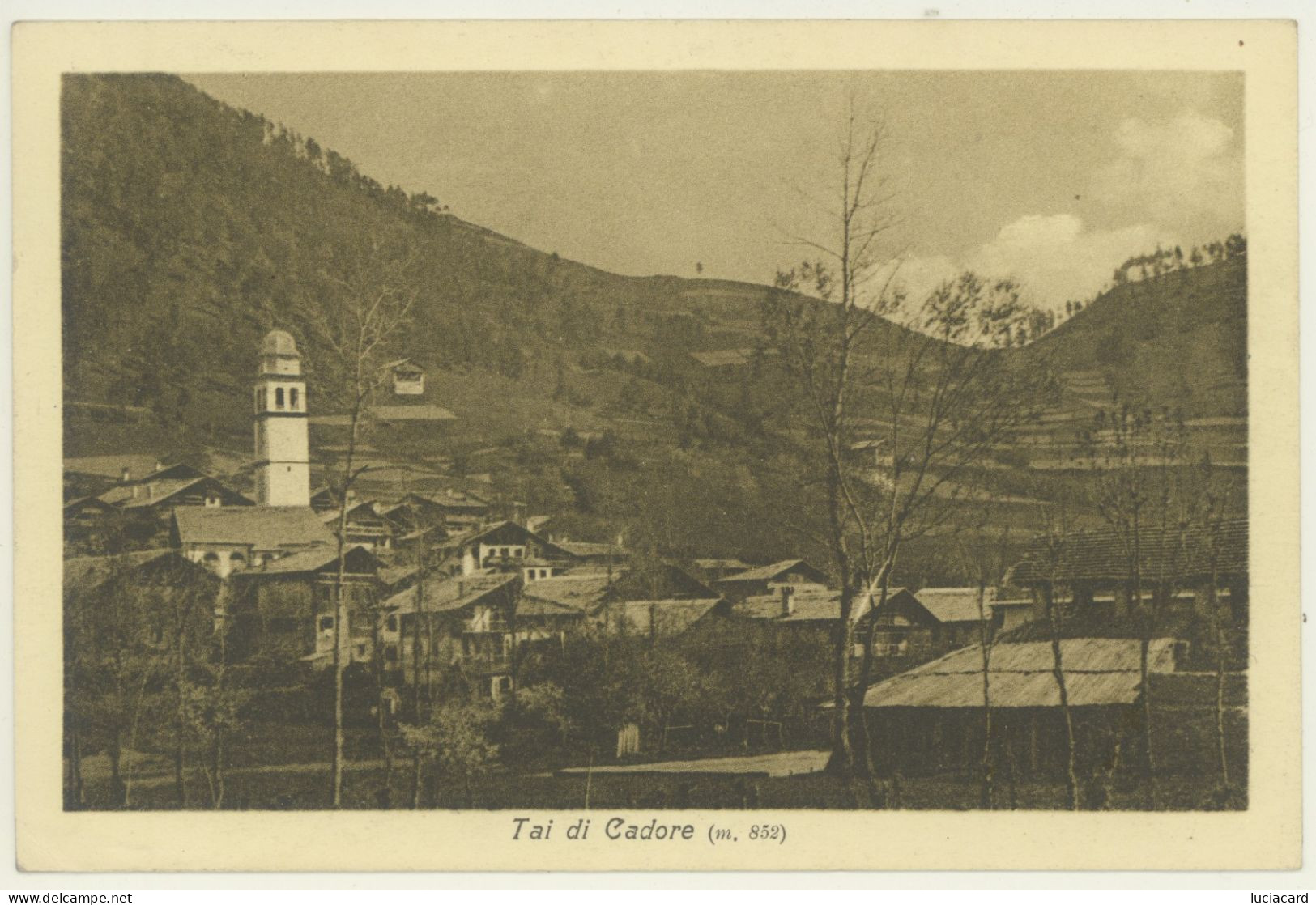 TAI DI CADORE -BELLUNO- PANORAMA -VIAGG.1923 - Belluno