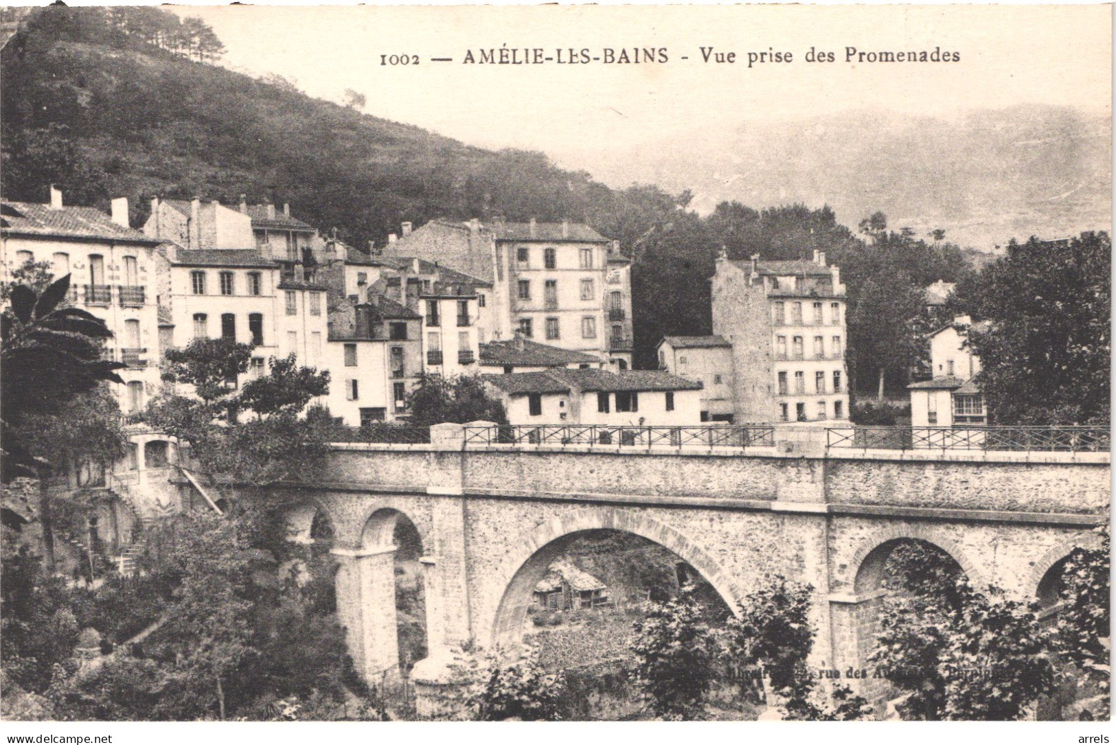 FR66 AMELIE LES BAINS - Brun 1002 - Vue Prise Des Promenades - Belle - Amélie-les-Bains-Palalda