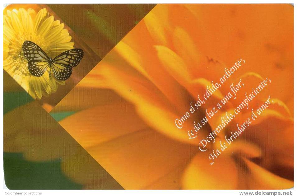 Lote PEP510, Cuba, 2004, Entero Postal, Postal Stationary, Mariposa Amarilla, Butterfly Postcard, Fauna - Cartoline Maximum