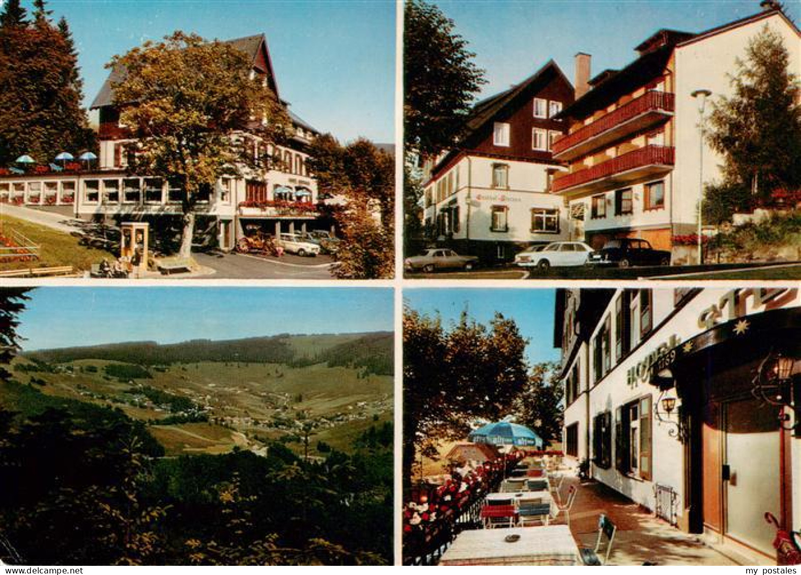 73927598 Todtnauberg Hotel Zum Sternen Terrasse Panorama - Todtnau