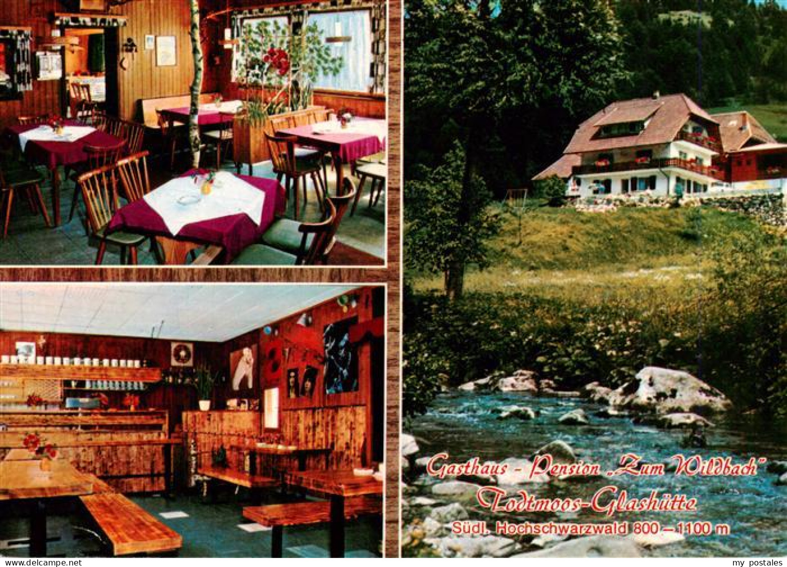 73927594 Glashuette_Todtmoos Gasthaus Pension Zum Wildbach Gastraeume - Todtmoos