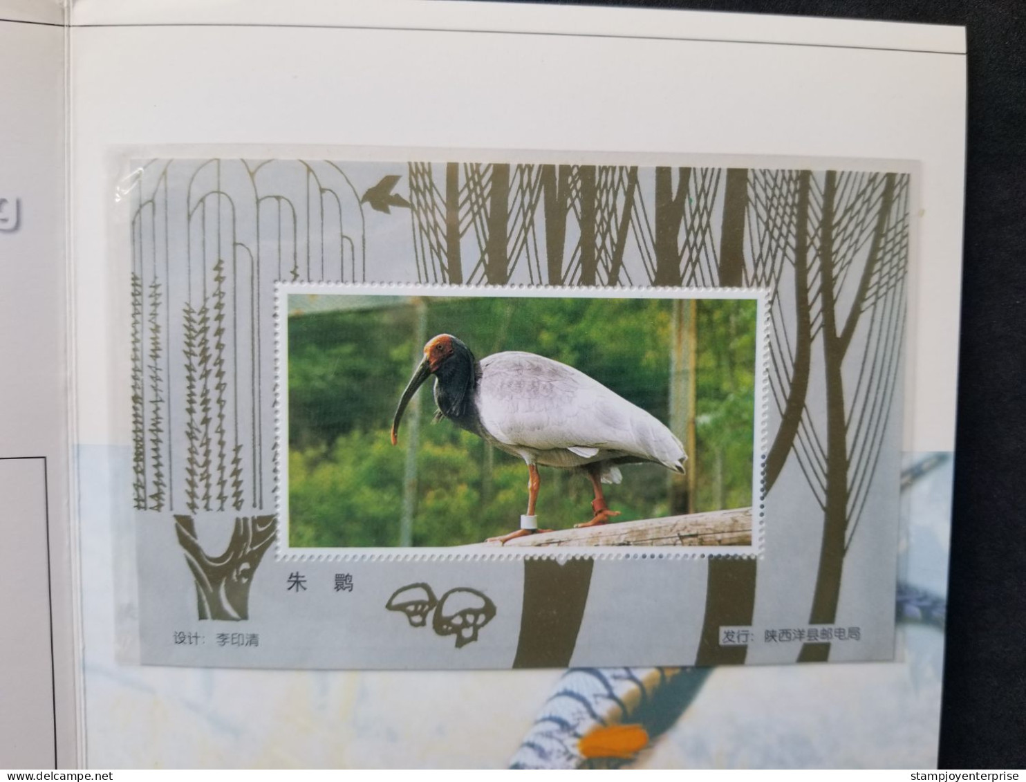 China Sweden Joint Issue Pheasant Rare Bird 1997 Birds (folder Set) MNH - Nuevos