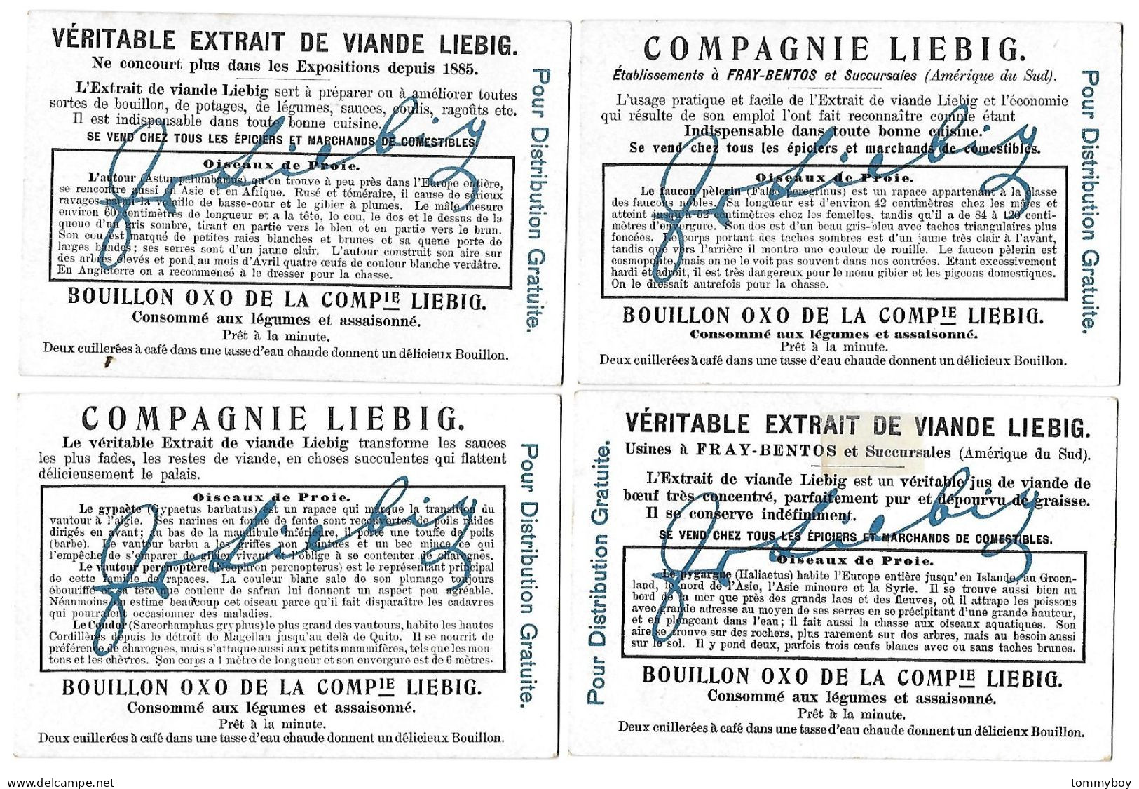 S 872, Liebig 6 Cards, Oiseaux De Proie (small Damage) (ref B23) - Liebig