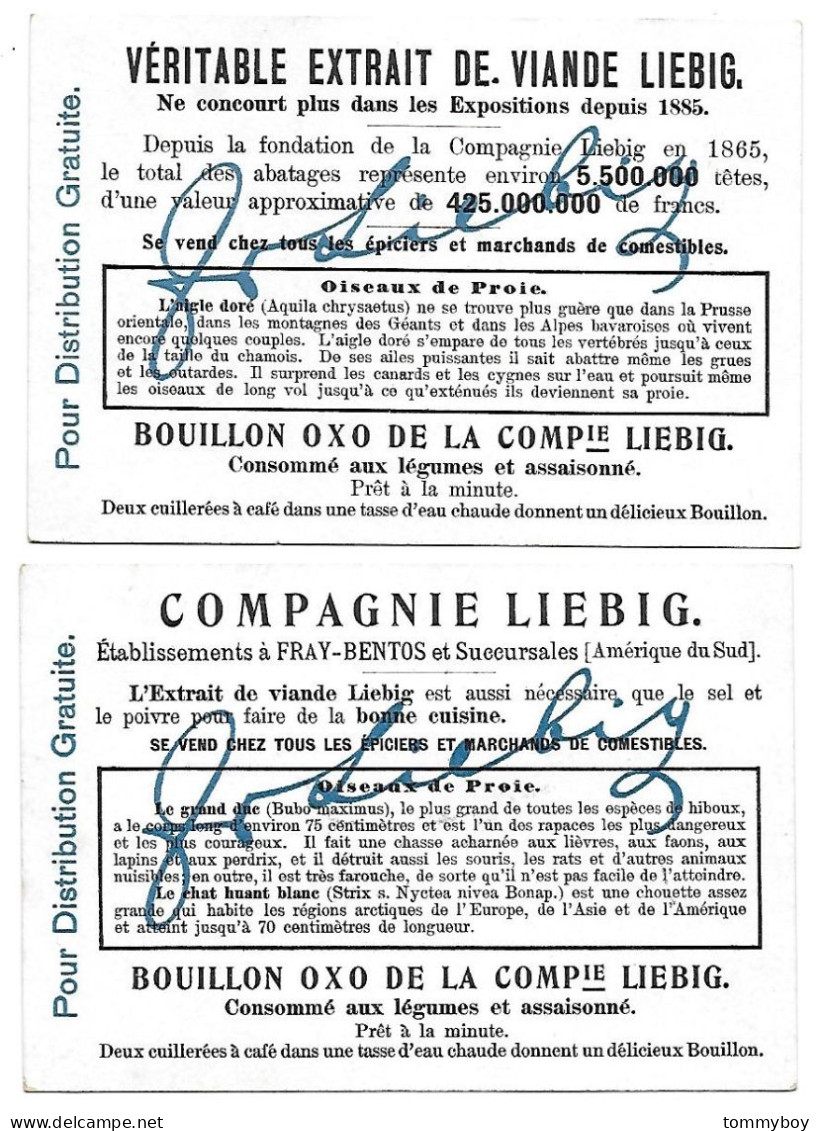 S 872, Liebig 6 Cards, Oiseaux De Proie (small Damage) (ref B23) - Liebig