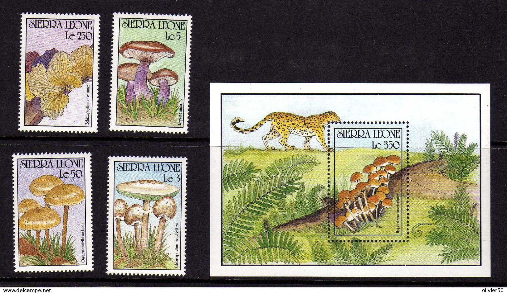 Sierra-Leone - Champignons  Neufs** - MNH - Sierra Leona (1961-...)