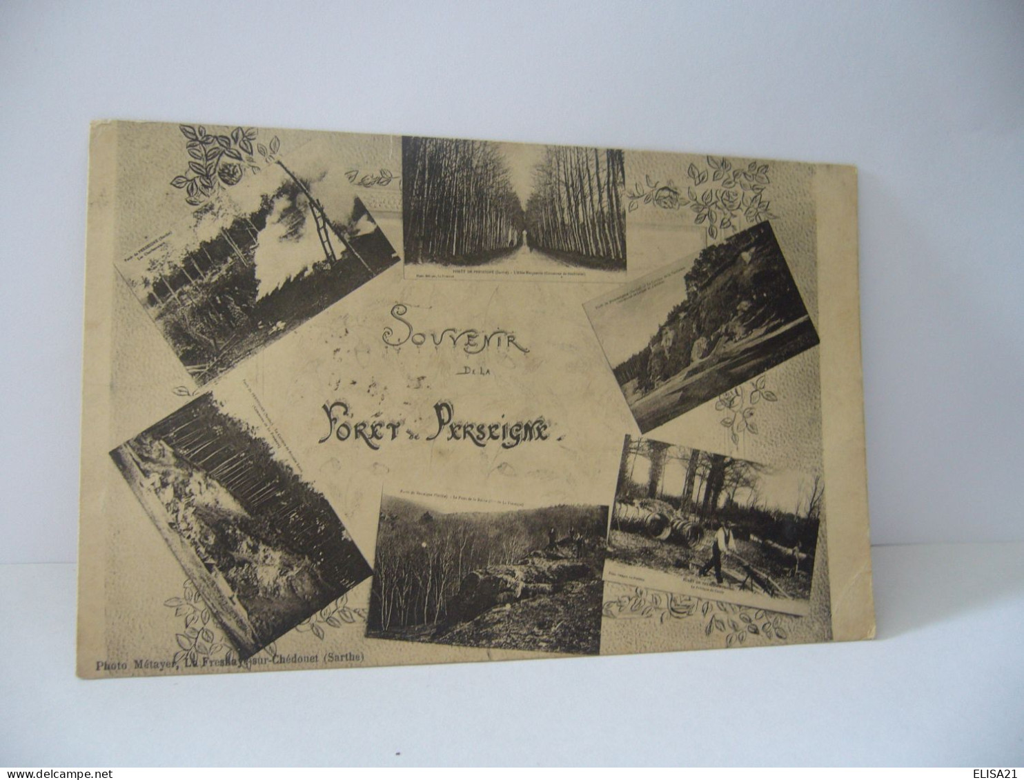 SOUVENIR DE LA FORET DE PERSEIGNE 61 ORNE CPA 1919 - Alencon