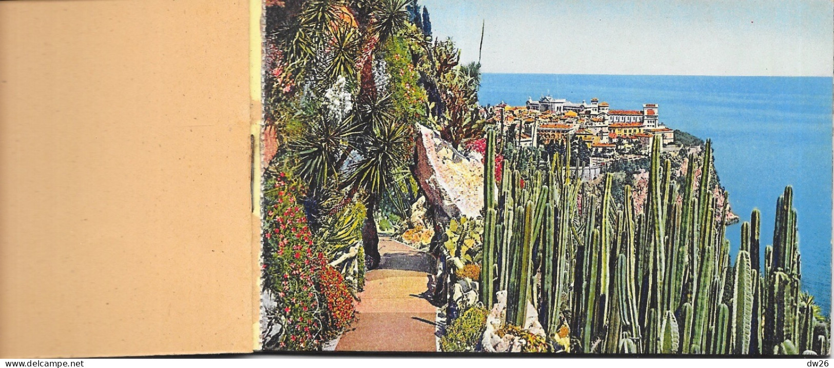 Le Jardin Exotique De Monaco - Carnet Complet De 10 Cartes S.I.C.A. - Fleurs Aloès Et Cactus - Jardín Exótico