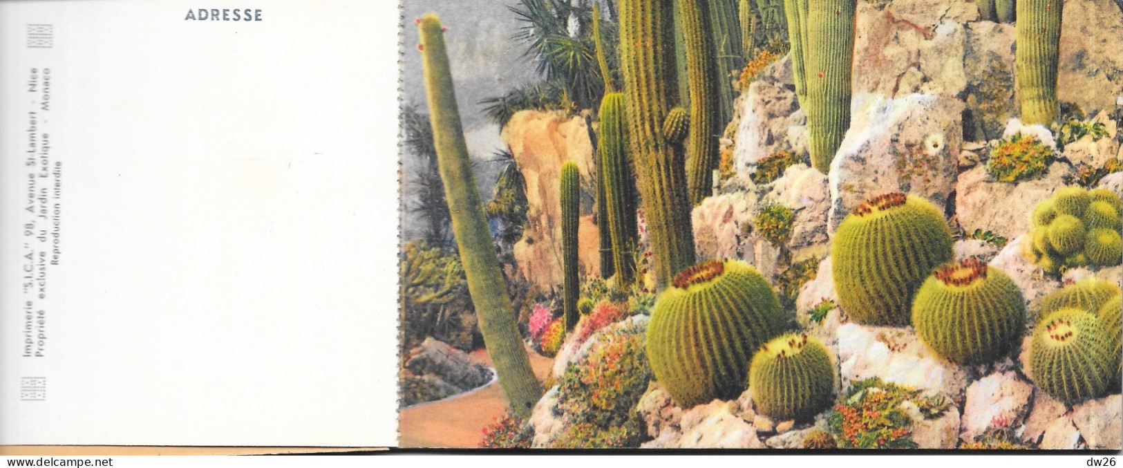 Le Jardin Exotique De Monaco - Carnet Complet De 10 Cartes S.I.C.A. - Fleurs Aloès Et Cactus - Jardin Exotique