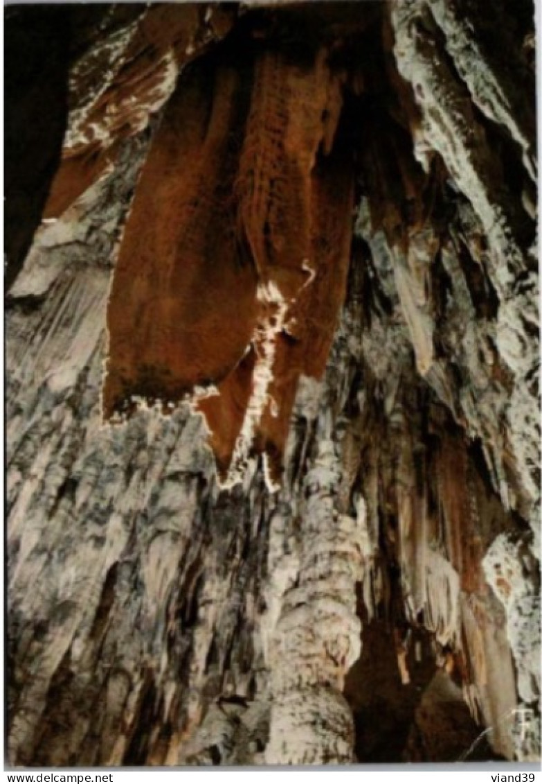 St BAUZILLE De PUTOIS. -  La Grotte Des Demoiselles , Une De Plus Belles Stalactites. . -  Non  Circulée. - Agde