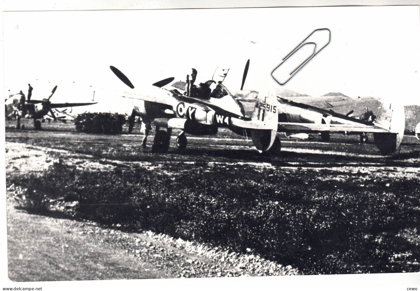 PHOTO AVIATION  AVION LOCKHEED P-38 LIGHTNING FRANCAIS - Aviation