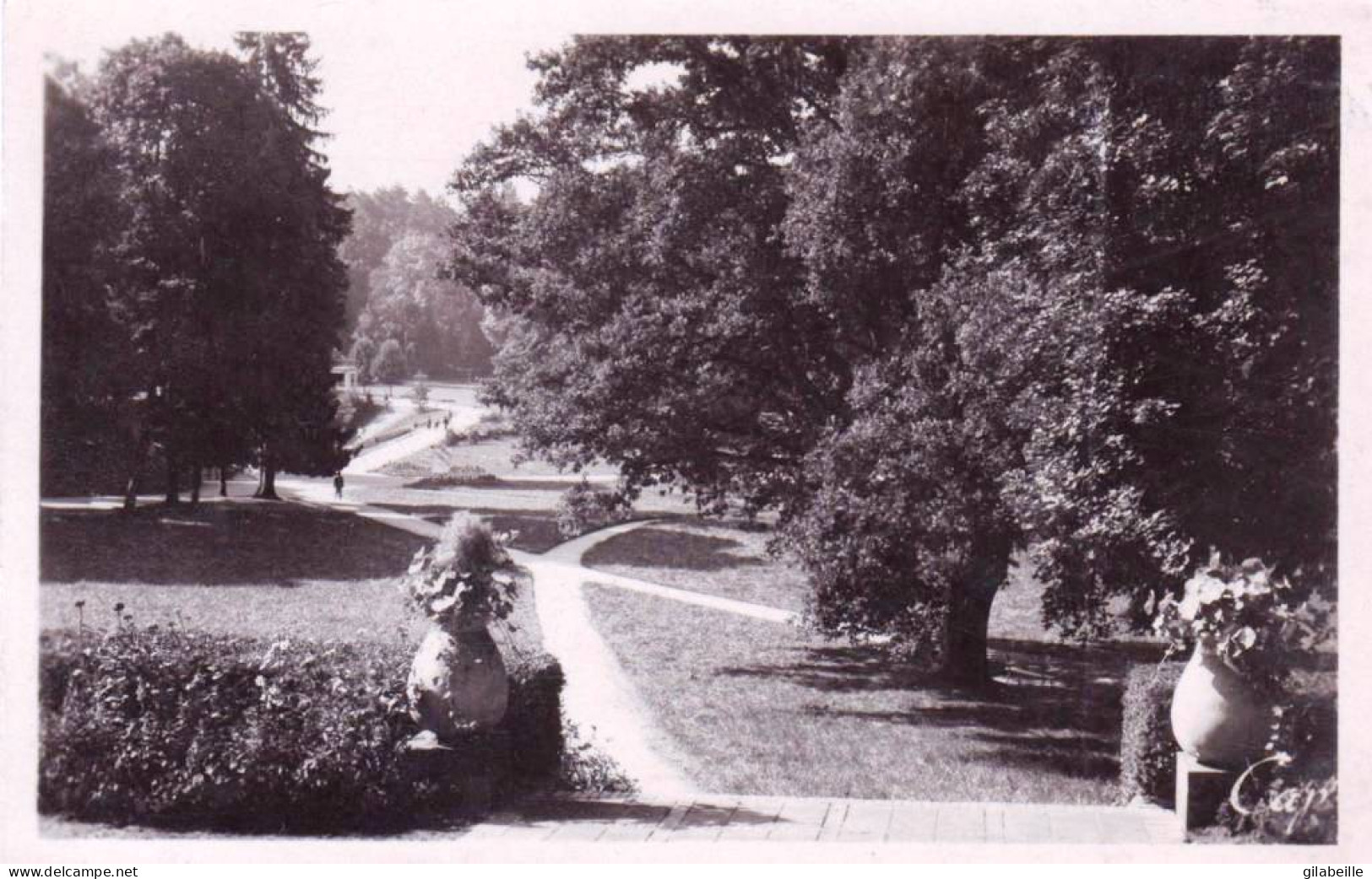 58 - Nievre -  SAINT HONORE Les BAINS - Vue Du Parc - Prise De L'hotel Le Morvan - Saint-Honoré-les-Bains