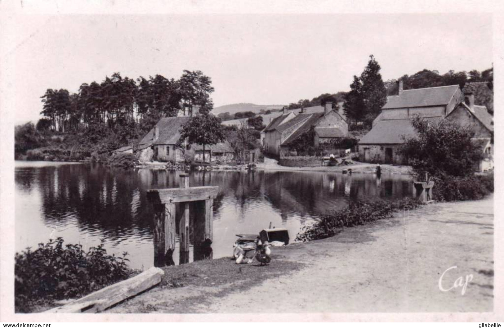 58 - Nievre -  SAINT HONORE Les BAINS -  Aux Environs - Le Seu - Saint-Honoré-les-Bains