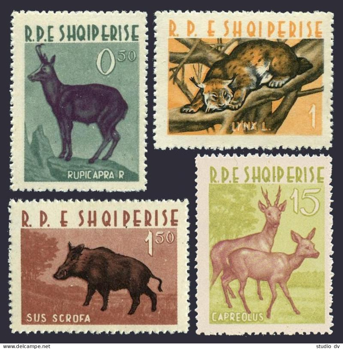 Albania 639-642, MNH. Mi 699-702. Animals 1962. Chamois,Lynx, Wild Boar,Roe Deer - Albanien